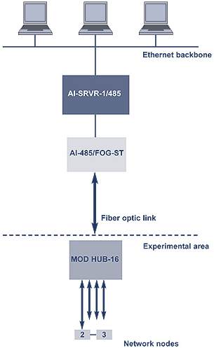 Network Architecture