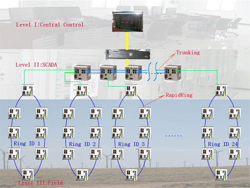 Network Diagram